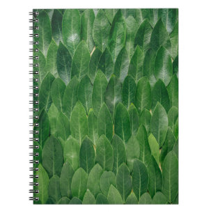 Cuaderno Hojas de plantas rojas