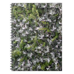 Cuaderno hojas de primavera de arbustos en el patrón natura