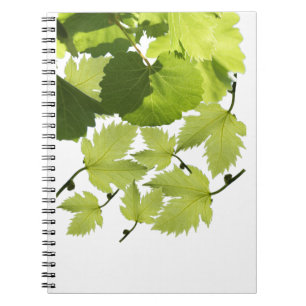 Cuaderno Hojas de vid de uva verde