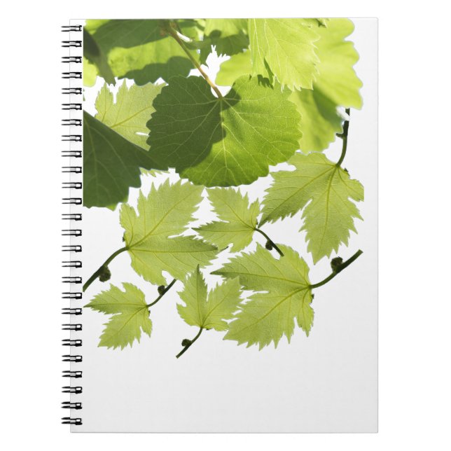 Cuaderno Hojas de vid de uva verde (Frente)