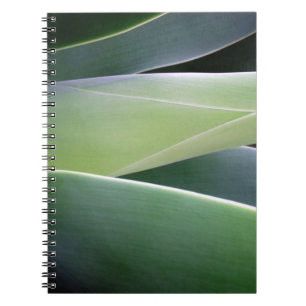 Cuaderno Hojas del agavo