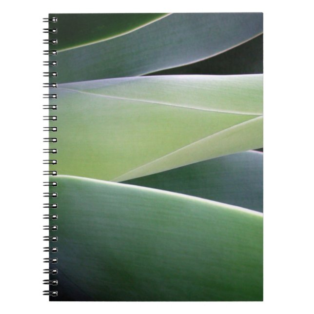 Cuaderno Hojas del agavo (Frente)