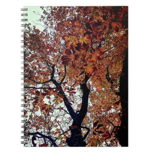 Cuaderno Hojas doradas
