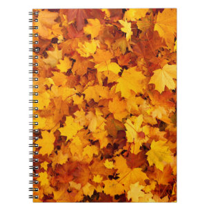 Cuaderno Hojas doradas del Verano Indio
