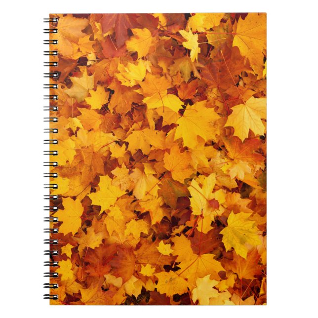 Cuaderno Hojas doradas del Verano Indio (Frente)