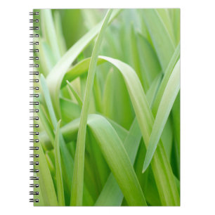 Cuaderno Hojas frescas de plantas verdes