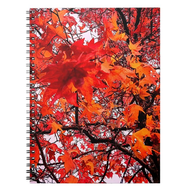 Cuaderno hojas naranja y roja (Frente)