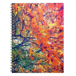 Cuaderno hojas naranja y verde