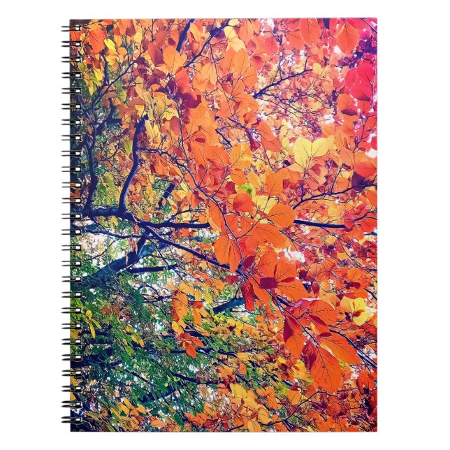 Cuaderno hojas naranja y verde (Frente)