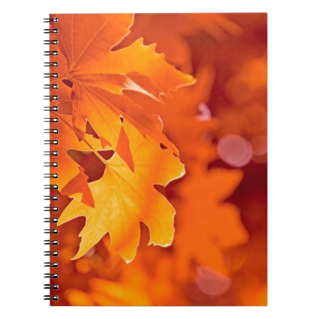 Cuaderno Hojas otoñales (Frente)