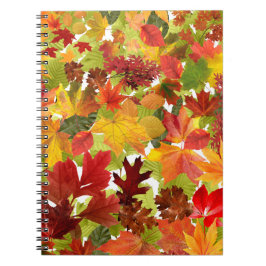 Cuaderno Hojas otoñales