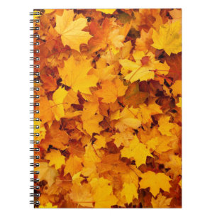 Cuaderno Hojas otoñales