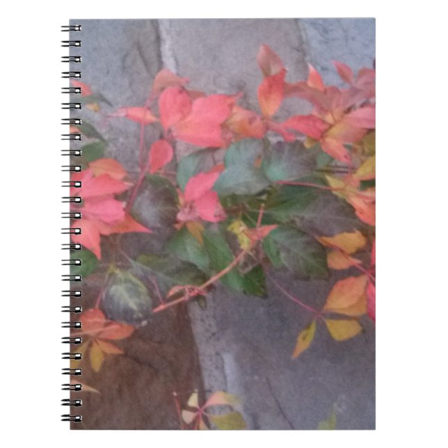 Cuaderno Hojas otoñales (Frente)
