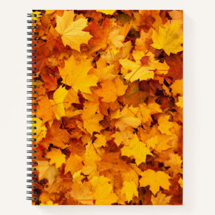 Cuaderno Hojas otoñales