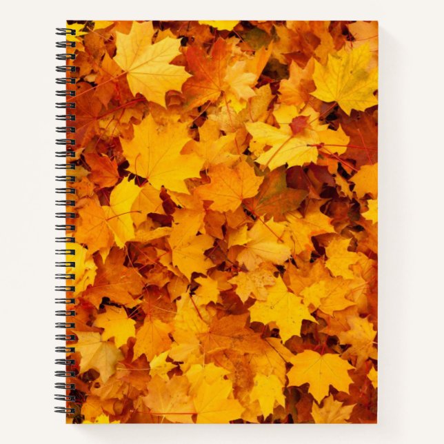 Cuaderno Hojas otoñales (Anverso)