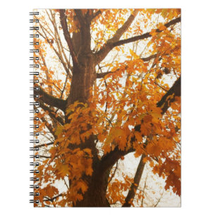 Cuaderno Hojas otoñales