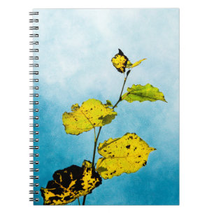 Cuaderno Hojas otoñales