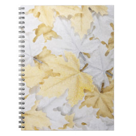 Cuaderno Hojas otoñales