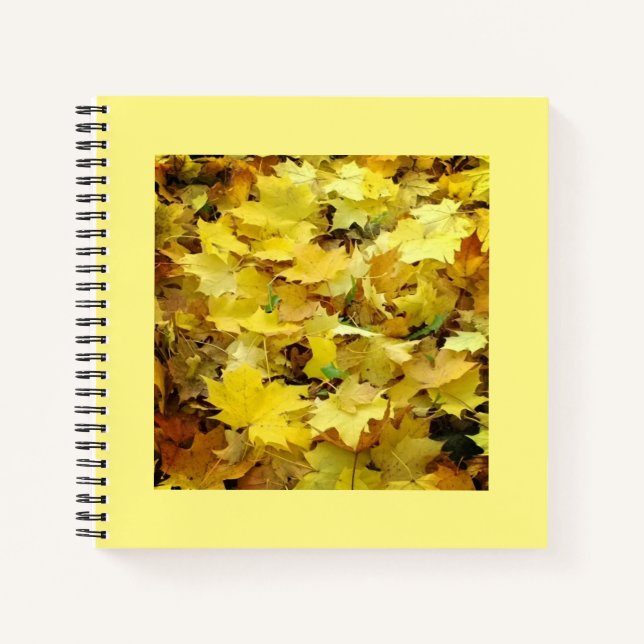 Cuaderno Hojas otoñales amarillas (Anverso)