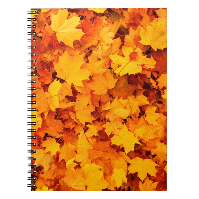 Cuaderno Hojas otoñales hojas otoñales (Frente)