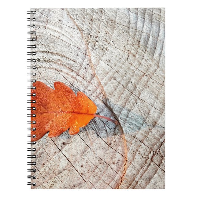 Cuaderno Hojas otoñales madera de hoja de roble (Frente)