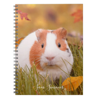 Cuaderno Hojas personalizadas/lindas del conejillo de