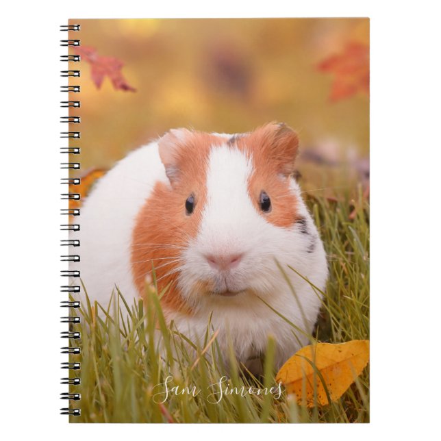 Cuaderno Hojas personalizadas/lindas del conejillo de (Frente)