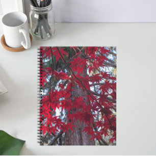 Cuaderno Hojas rojas de arce y secuoyas gigantes