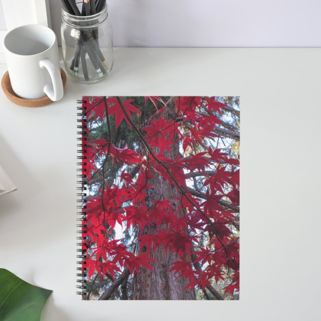 Cuaderno Hojas rojas de arce y secuoyas gigantes (In Situ)