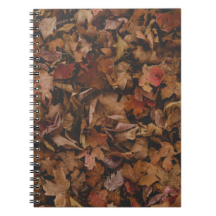 CUADERNO HOJAS ROJAS Y MARRÓN SOBRE EL TERRENO