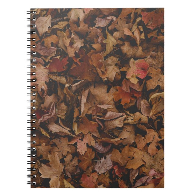 CUADERNO HOJAS ROJAS Y MARRÓN SOBRE EL TERRENO (Frente)