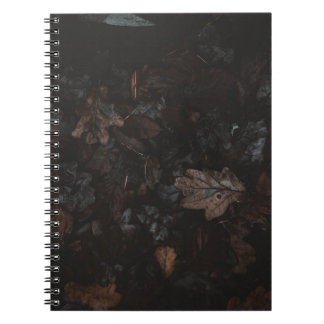 Cuaderno Hojas secas