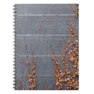 Cuaderno Hojas secas marrones en el agua