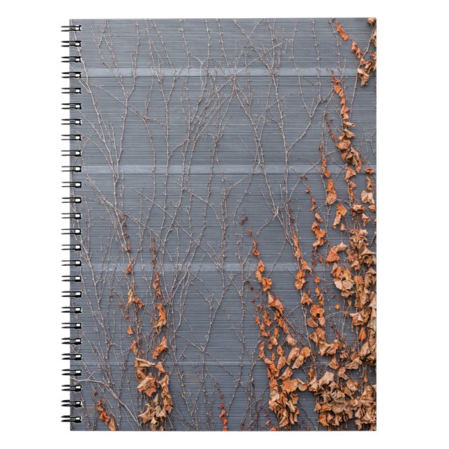 Cuaderno Hojas secas marrones en el agua (Frente)