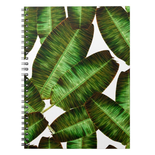 Cuaderno Hojas tropicales de plátano, hojas de selva sin co (Frente)