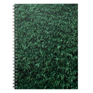Cuaderno Hojas verdes