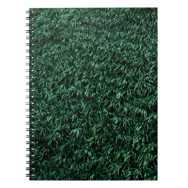 Cuaderno Hojas verdes (Frente)