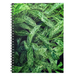 Cuaderno Hojas verdes