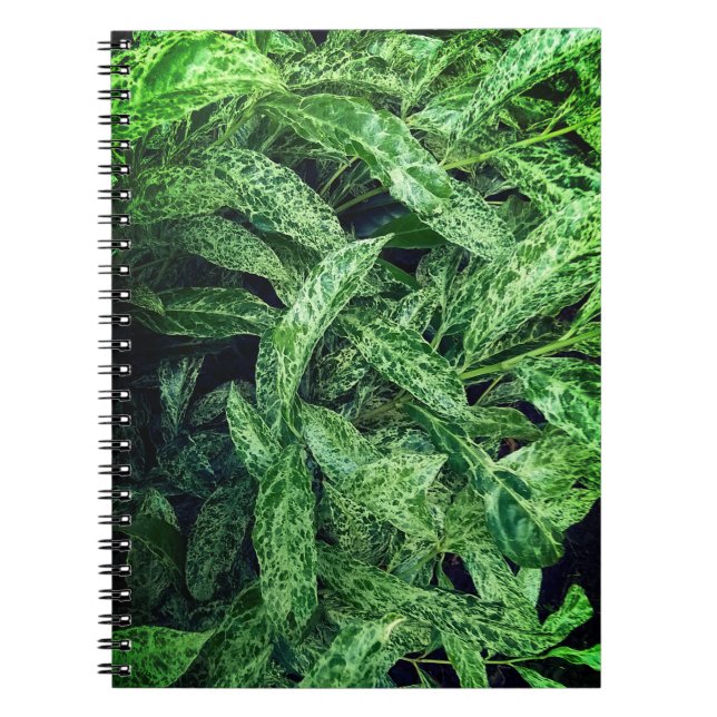 Cuaderno Hojas verdes (Frente)