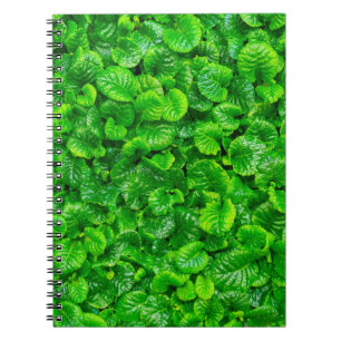 Cuaderno Hojas Verdes Lujuriosas