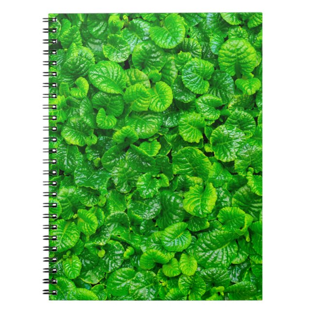 Cuaderno Hojas Verdes Lujuriosas (Frente)