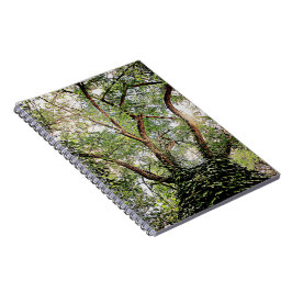 Cuaderno hojas verdes por todas partes