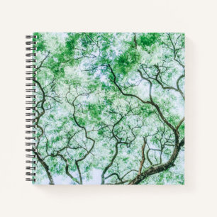 Cuaderno Hojas y ramas elegantes pero espeluznantes   Cuade