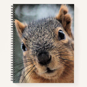 Cuaderno Hola