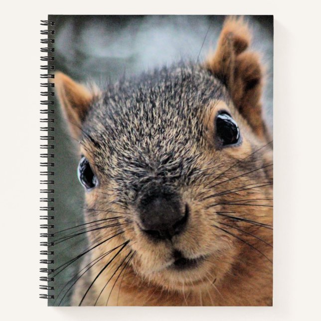 Cuaderno Hola (Anverso)