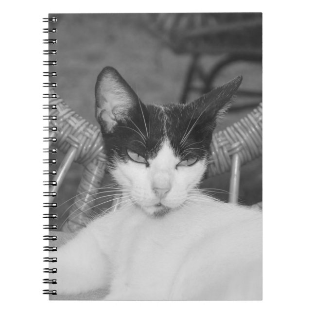 Cuaderno Hola, Meow... (Frente)