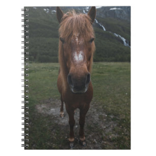 CUADERNO HOLA SOY UN CABALLO
