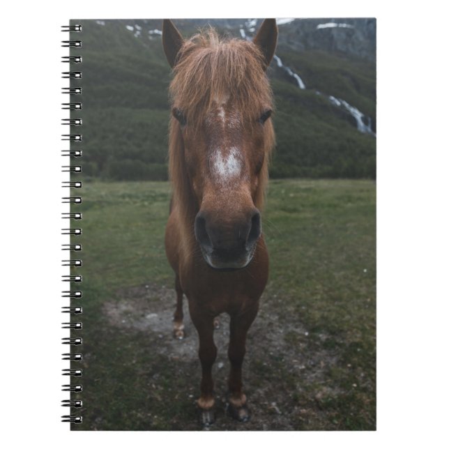 CUADERNO HOLA SOY UN CABALLO (Frente)