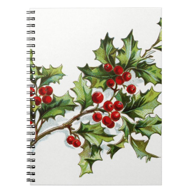 Cuaderno HollyBerries20150801 (Frente)