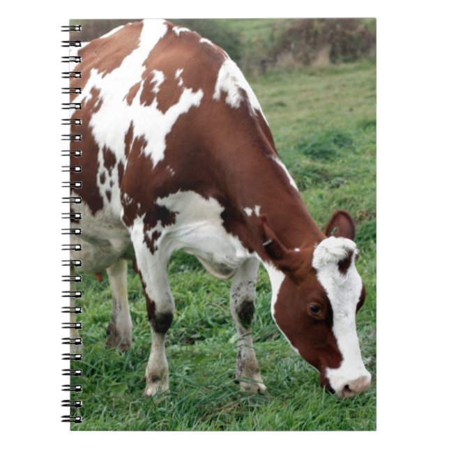 Cuaderno Holstein roja y blanca que pasta (Frente)